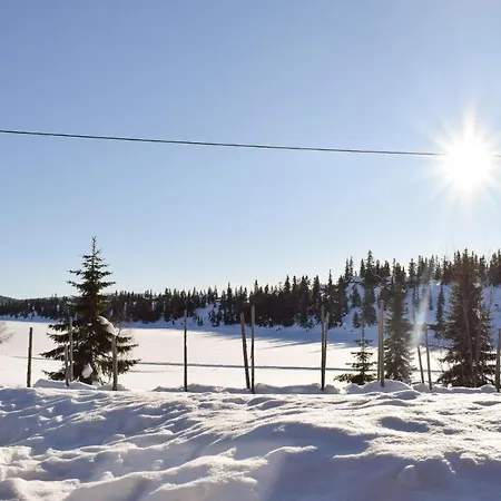 Sjusjovegen 1951 Feriehus Sjusjoen