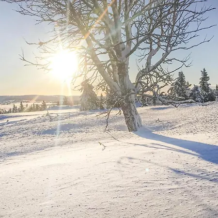 Сasa de vacaciones Sjusjovegen 1951 Sjusjoen
