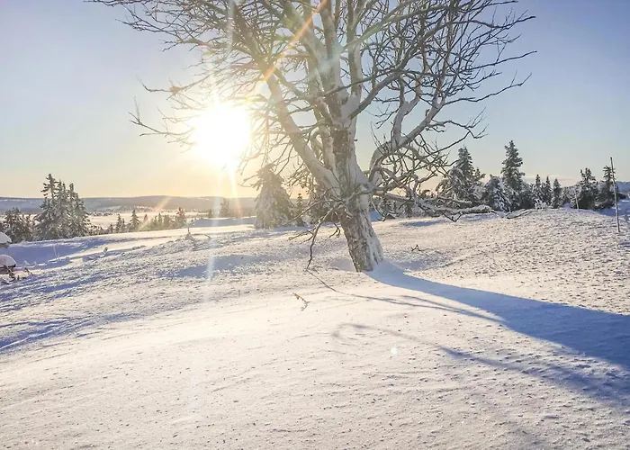 Holiday home Pihl 4001 Sjusjoen